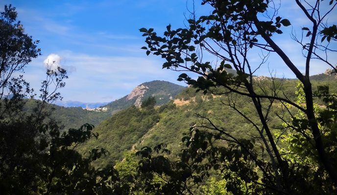 Foto 1 del percorso Bikemap "17 66 Maçanet-de-Cabrenys l'Oliveda Gesos Ermita-Sant-Cristofol-dels-Horts Costoja La-Creu-de-Canonge La-Nantilla Noell Perilló" Foto 1 del percorso Bikemap "17 66 Maçanet-de-Cabrenys l'Oliveda Gesos Ermita-Sant-Cristofol-dels-Horts Costoja La-Creu-de-Canonge La-Nantilla Noell Perilló"