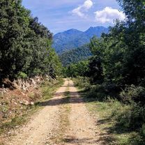 Foto 8 del percorso Bikemap "17 66 Maçanet-de-Cabrenys l'Oliveda Gesos Ermita-Sant-Cristofol-dels-Horts Costoja La-Creu-de-Canonge La-Nantilla Noell Perilló" Foto 8 del percorso Bikemap "17 66 Maçanet-de-Cabrenys l'Oliveda Gesos Ermita-Sant-Cristofol-dels-Horts Costoja La-Creu-de-Canonge La-Nantilla Noell Perilló"