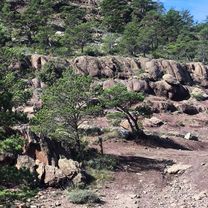 Foto 7 del percorso Bikemap "17 66 Maçanet-de-Cabrenys l'Oliveda Gesos Ermita-Sant-Cristofol-dels-Horts Costoja La-Creu-de-Canonge La-Nantilla Noell Perilló" Foto 7 del percorso Bikemap "17 66 Maçanet-de-Cabrenys l'Oliveda Gesos Ermita-Sant-Cristofol-dels-Horts Costoja La-Creu-de-Canonge La-Nantilla Noell Perilló"