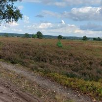 Meninger Weg nach Wilseder Straße