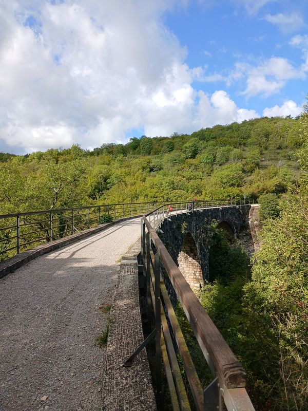 Dia 3 Motovun  Porec