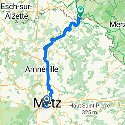 1 Metz-Perl N