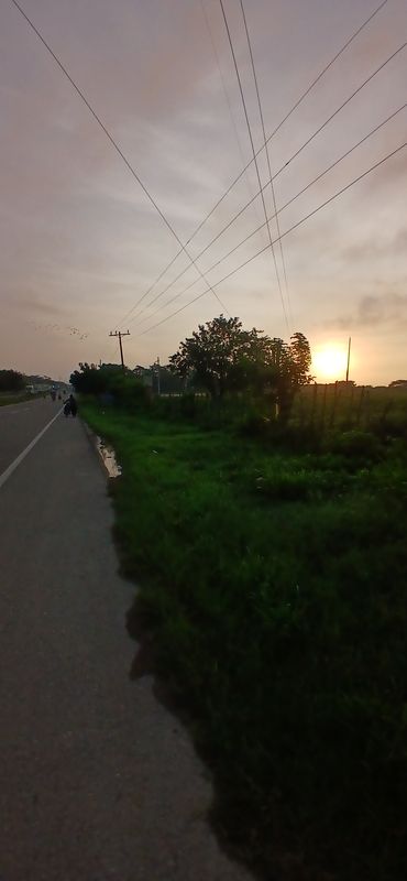 De Bayunca-Cartagena a Transversal 71E