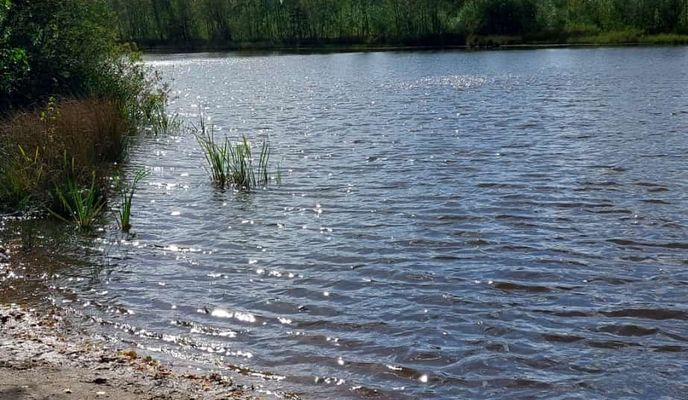 Zdjęcie 2 trasy Bikemap „Wilseder Straße nach Schneverdingen Am Brink”