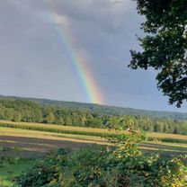 Wilseder Straße nach Schneverdingen Am Brink
