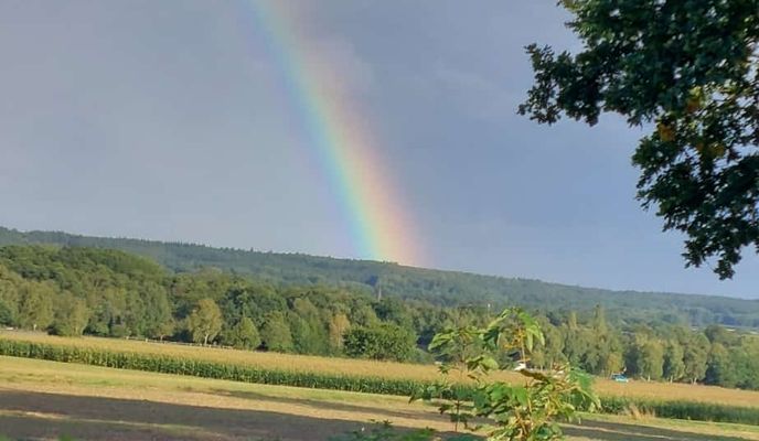 Zdjęcie 1 trasy Bikemap „Wilseder Straße nach Schneverdingen Am Brink”