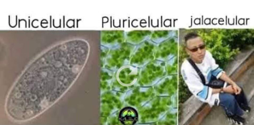 Una Camimata inesperada