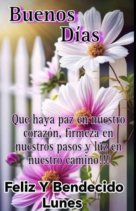 Una Camimata inesperada