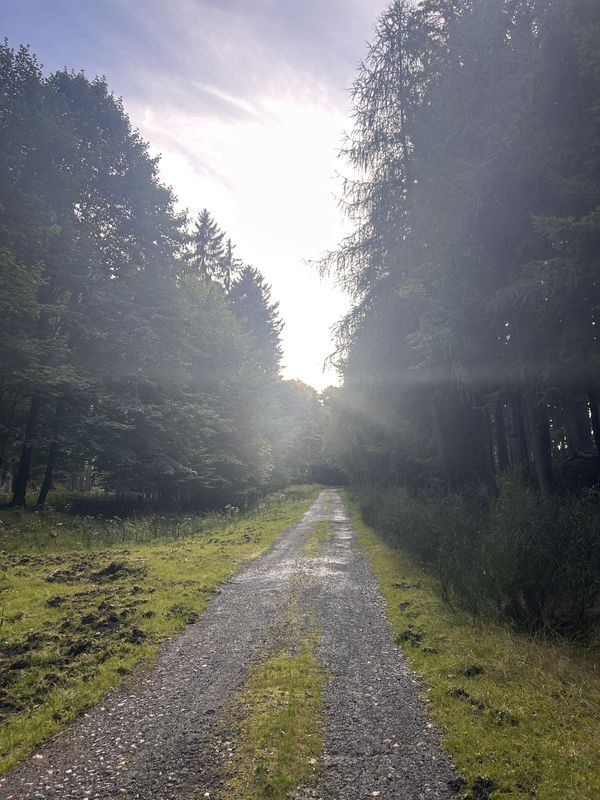 Myslbekova, Карлові Вари до Šumavská, Карлові Вари