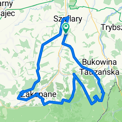 ToZ