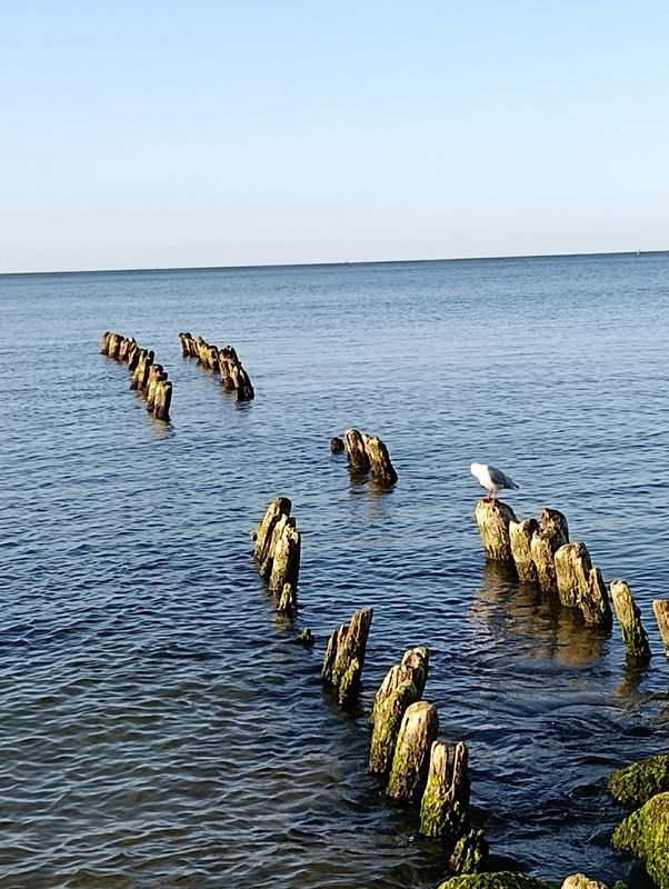 На встречу морю❤️