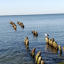 На встречу морю❤️