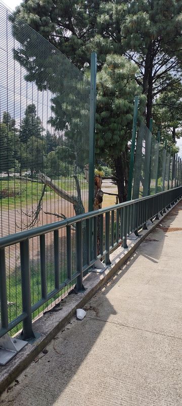 De Hacienda Pasteje a Mariano Matamoros F