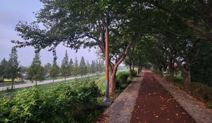 Photo 2 of the Bikemap route "대저1동 4569-2 ~ 대저1동 2932-3" Photo 2 of the Bikemap route "대저1동 4569-2 ~ 대저1동 2932-3"