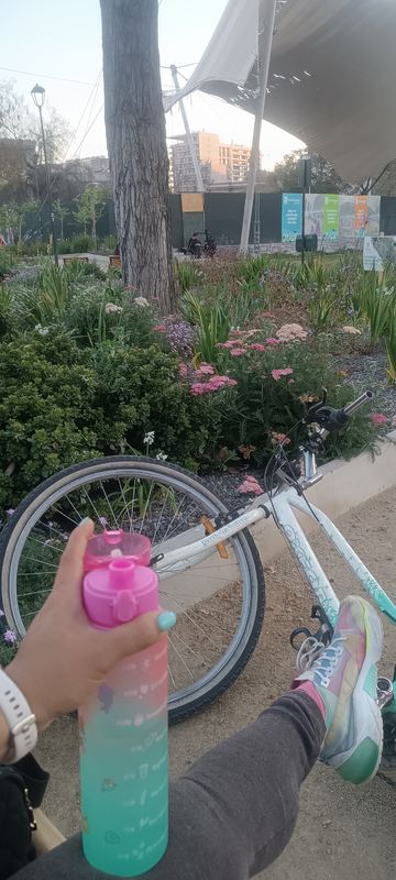 De Lo Encalada a Lo Encalada