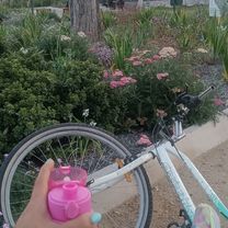 De Lo Encalada a Lo Encalada