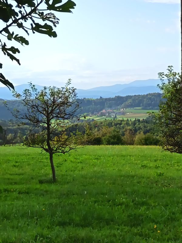 Vrh pri Trebelnem to Železniška postaja Trebnje