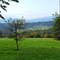 Vrh pri Trebelnem to Železniška postaja Trebnje