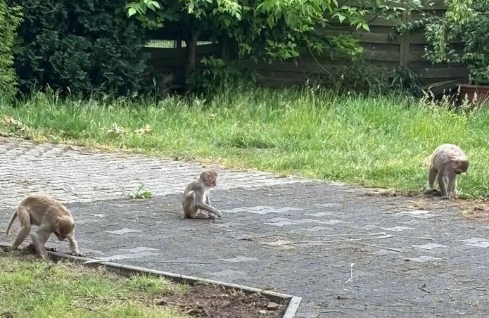 Destacado 14 en la ruta de Bikemap "Bad Rothenfelde"