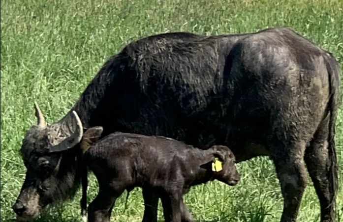 Destacado 12 en la ruta de Bikemap "Bad Rothenfelde"