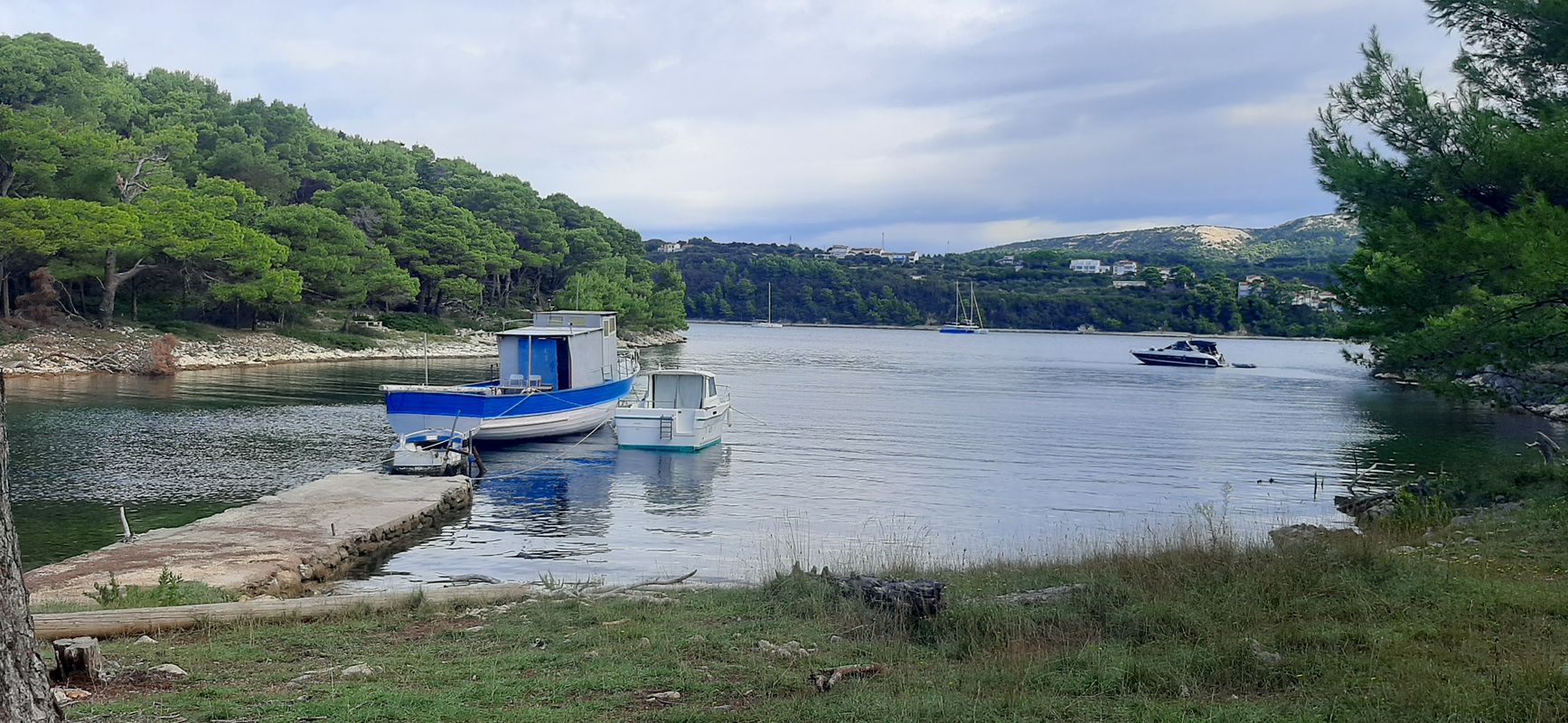 Carolina, ruzici, gonar, rab