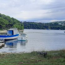 Carolina, ruzici, gonar, rab
