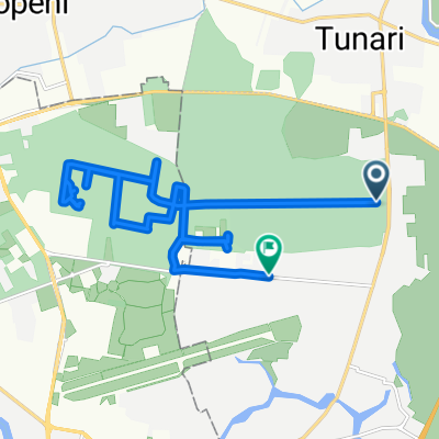 Şoseaua Tunari to Strada Erou Iancu Nicolae
