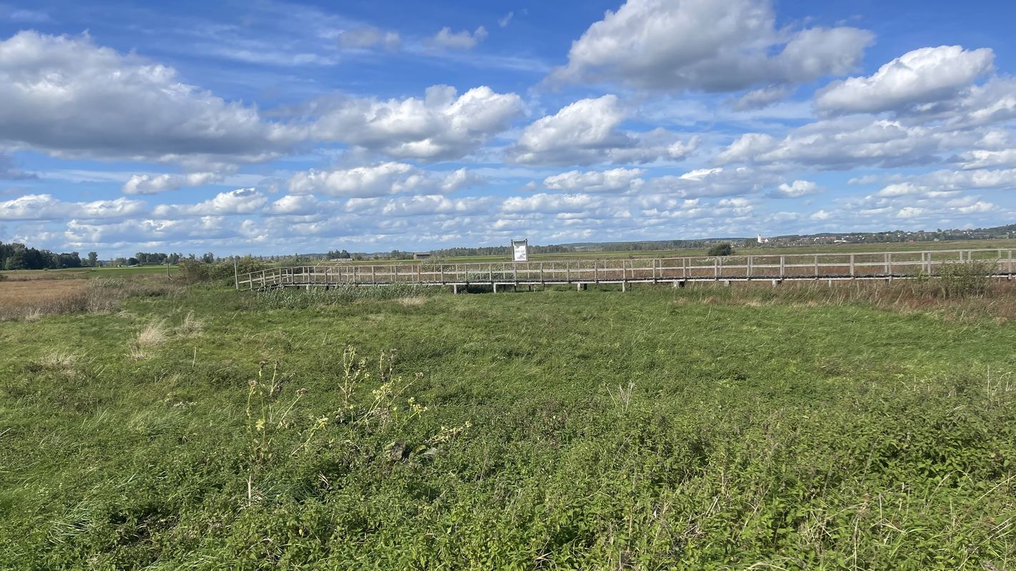 Prälat-Endrich-Platz, Bad Buchau nach Prälat-Endrich-Platz, Bad Buchau