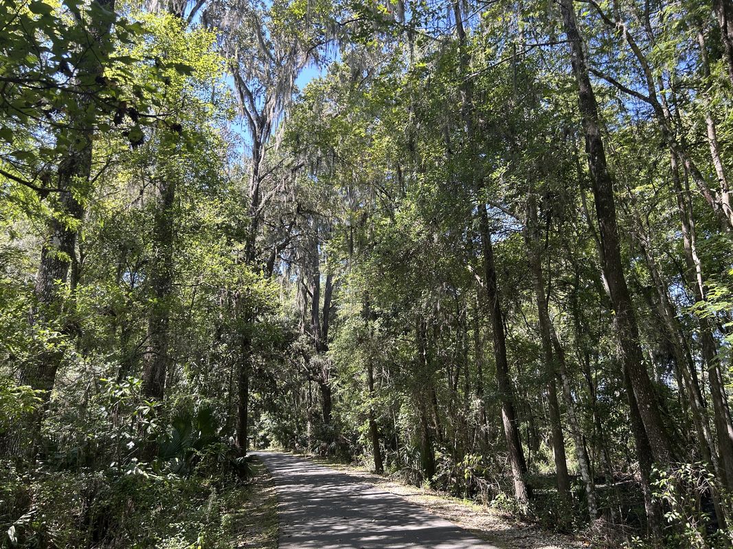 Dunnellon to E Levy Ct, Floral City