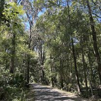 Dunnellon to E Levy Ct, Floral City