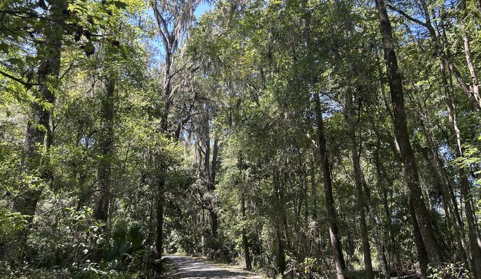 Foto 1 del percorso Bikemap "Dunnellon to E Levy Ct, Floral City"