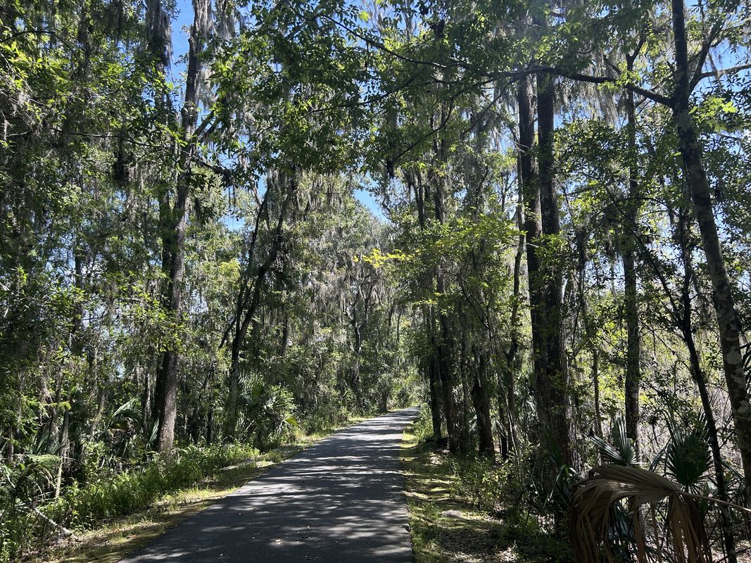 Dunnellon to E Levy Ct, Floral City