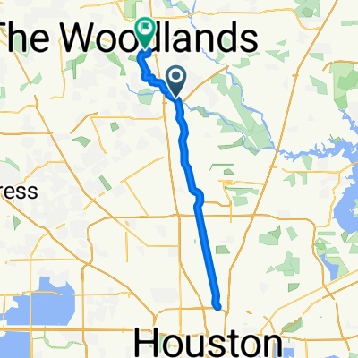 Spring - The Woodlands