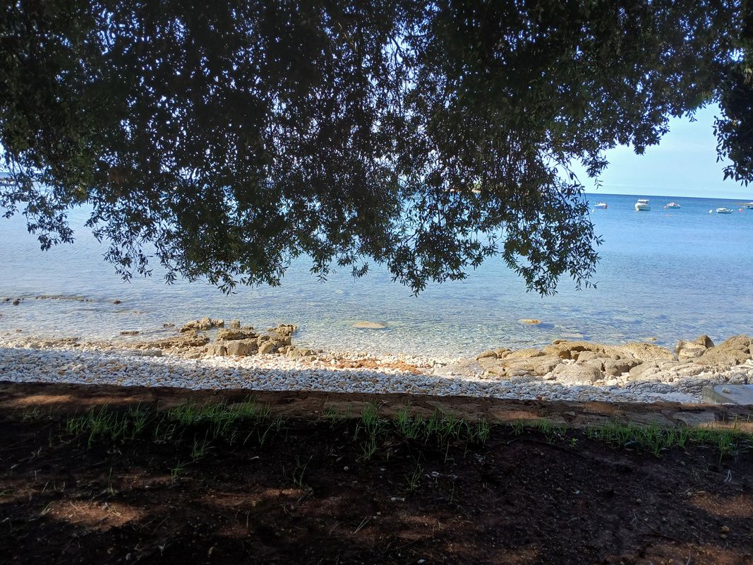 Dia 5 Rovinj a Pula