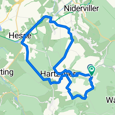 freiwald