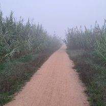 Carrer Lleó I to Carrer Lleó I