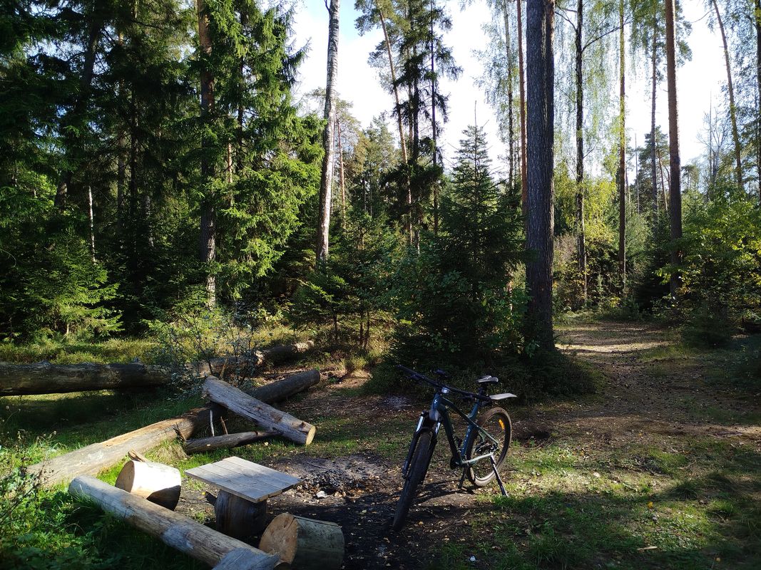 От Истомкинский 1-й проезд до Истомкинский 1-й проезд