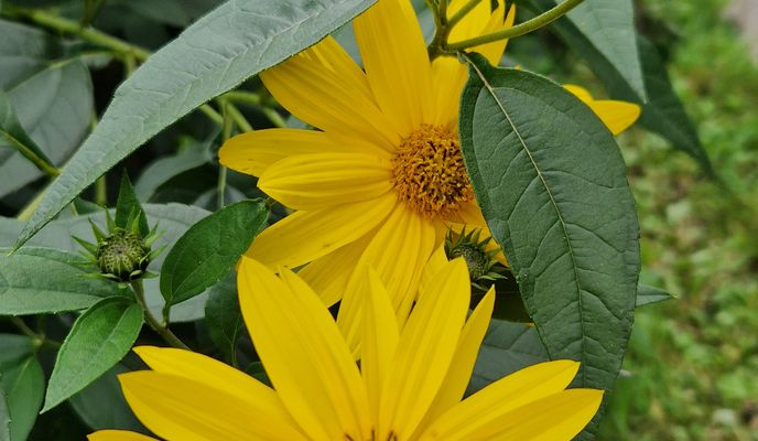 Foto 2 de la ruta de Bikemap "Maxima Gorkého do Maxima Gorkého"