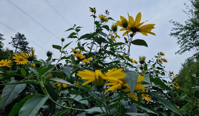 Foto 1 de la ruta de Bikemap "Maxima Gorkého do Maxima Gorkého"