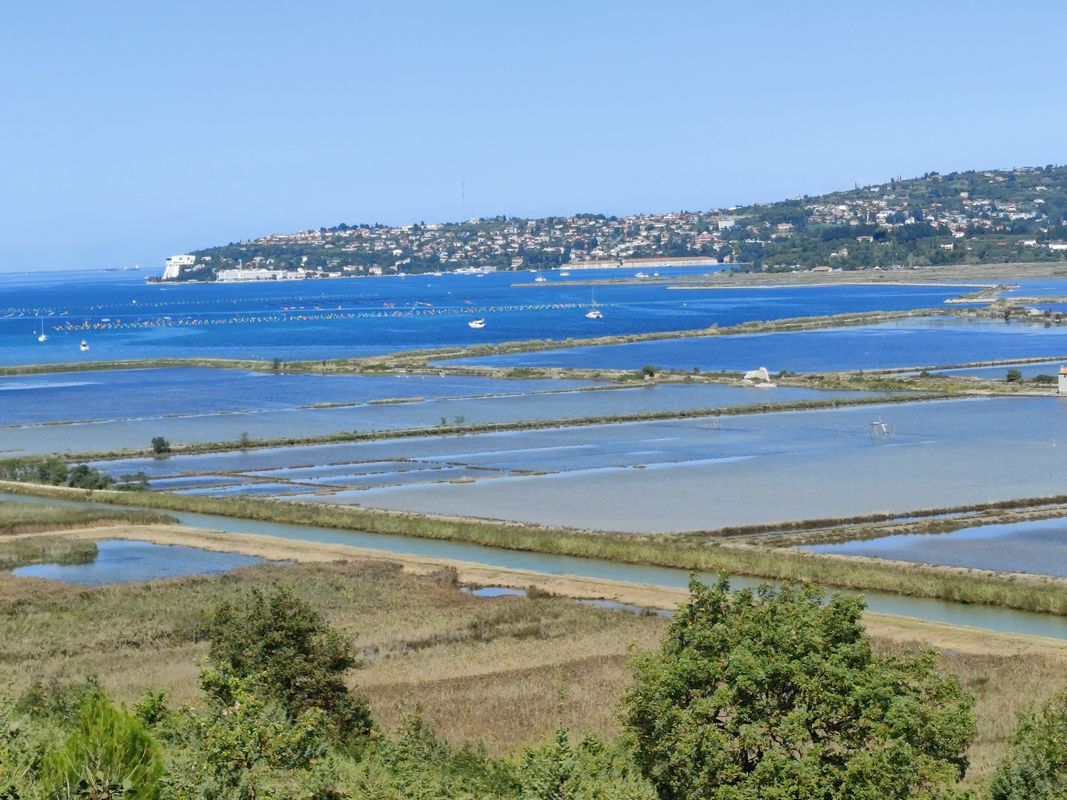 Izola nach Umag, auf einem Teil der Parenzana