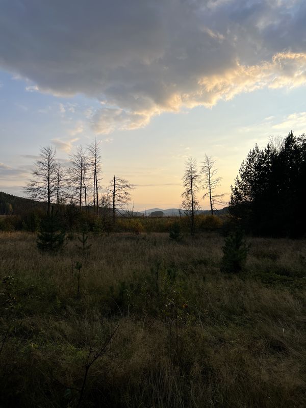 55.117, 60.084 до 55.140, 60.159