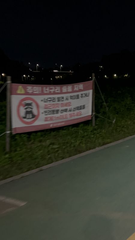 μ μλ‘, μμΈνΉλ³μμμ λ°©λ°°λ, μμΈνΉλ³μκΉμ§