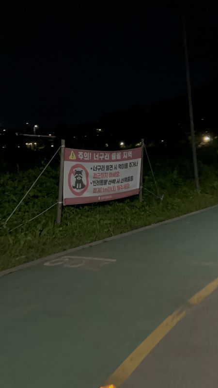 μ μλ‘, μμΈνΉλ³μμμ λ°©λ°°λ, μμΈνΉλ³μκΉμ§