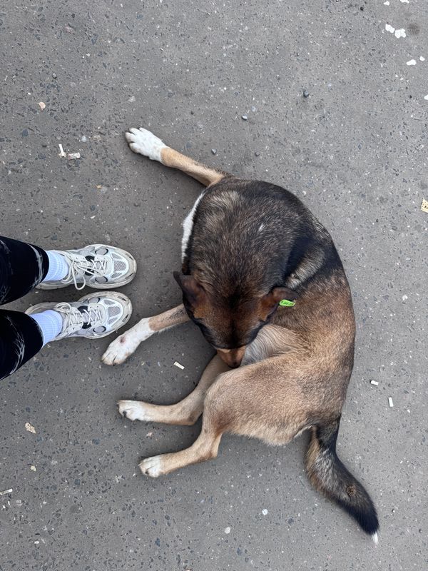 Сенежская улица, Солнечногорск до Банковская улица, Солнечногорск