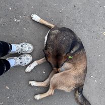 Сенежская улица, Солнечногорск до Банковская улица, Солнечногорск