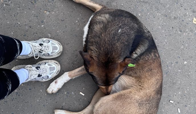 Foto 1 de la ruta de Bikemap "Сенежская улица, Солнечногорск до Банковская улица, Солнечногорск"