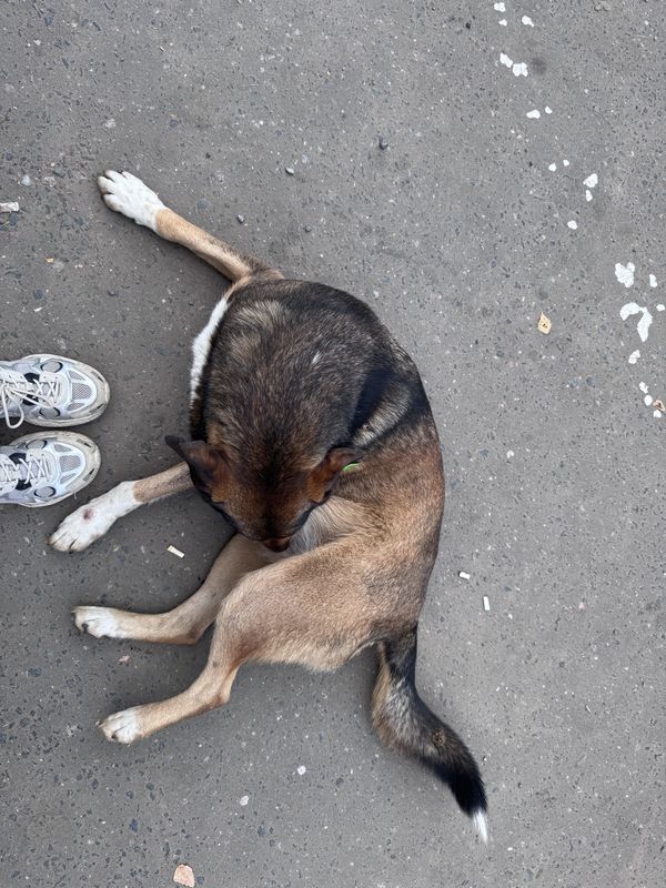 Сенежская улица, Солнечногорск до Банковская улица, Солнечногорск