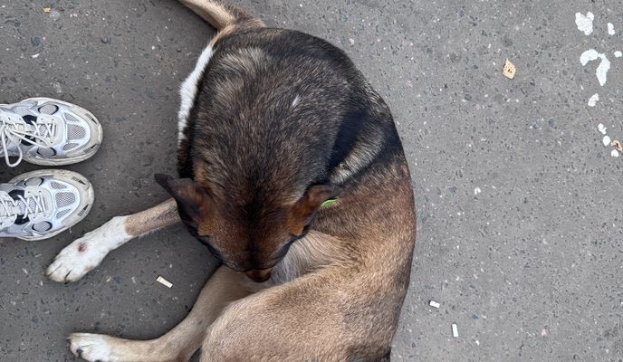 Foto 2 de la ruta de Bikemap "Сенежская улица, Солнечногорск до Банковская улица, Солнечногорск"