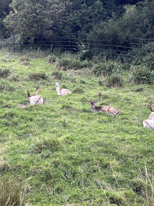 Hope Street, Bo'Ness to Ashburnham Road, South Queensferry