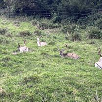 Hope Street, Bo'Ness to Ashburnham Road, South Queensferry